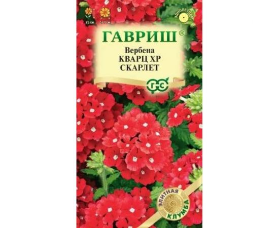 Вербена ГАВРИШ Кварц XP Скарлет, гибридная 4 шт, серия Элитная клумба 1071857136 