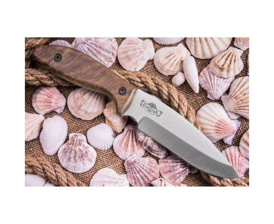 Туристический нож Kizlyar Supreme Fortuna сталь AUS-8 StoneWash рукоять из Кавказского ореха 4650065056953 – изображение 2