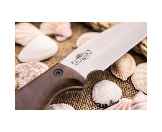 Туристический нож Kizlyar Supreme Fortuna сталь AUS-8 StoneWash рукоять из Кавказского ореха 4650065056953 – изображение 6