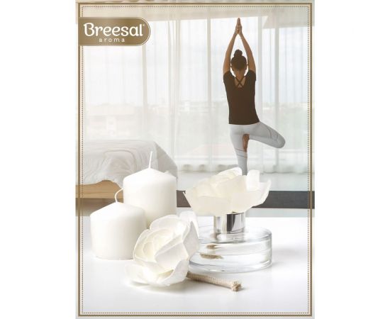Декоративный ароматизатор Breesal Arome Fleur Шлейф волшебства B/D20171 – изображение 10