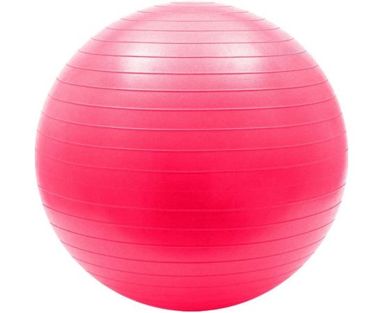 Гимнастический мяч Iron People IR97403 55 см 2000027196883 