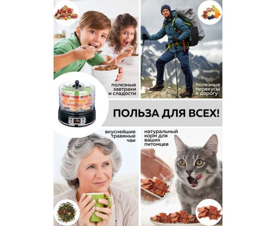 Электрическая сушилка для овощей и фруктов GFGRIL GFD-002 – изображение 2