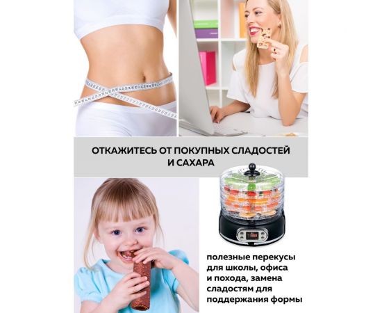 Электрическая сушилка для овощей и фруктов GFGRIL GFD-002 – изображение 4