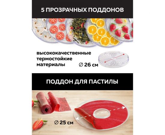 Электрическая сушилка для овощей и фруктов GFGRIL GFD-002 – изображение 5