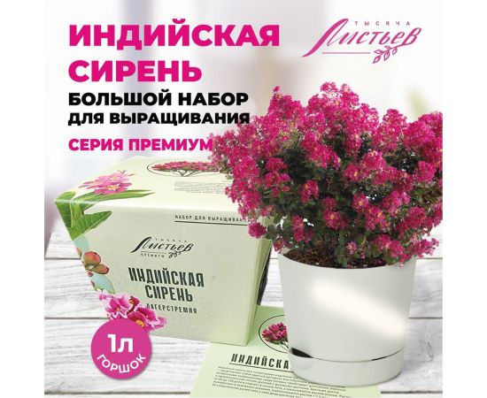 Набор для выращивания растений Тысяча листьев Премиум индийская сирень tl-029 – изображение 2