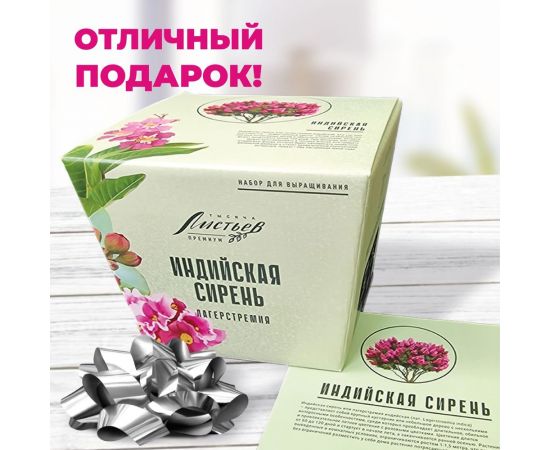 Набор для выращивания растений Тысяча листьев Премиум индийская сирень tl-029 – изображение 4