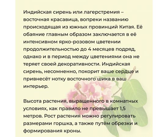 Набор для выращивания растений Тысяча листьев Премиум индийская сирень tl-029 – изображение 5