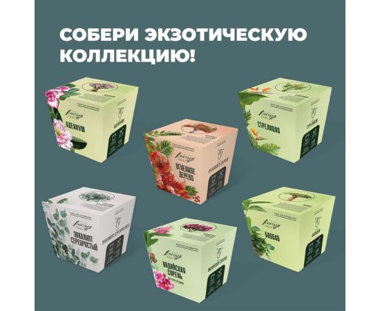 Набор для выращивания растений Тысяча листьев Премиум индийская сирень tl-029 – изображение 8