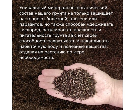 Набор для выращивания растений Тысяча листьев Премиум индийская сирень tl-029 – изображение 9