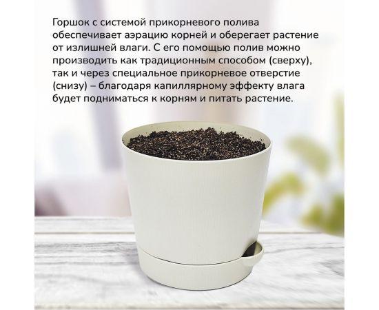 Набор для выращивания растений Тысяча листьев Премиум индийская сирень tl-029 – изображение 10