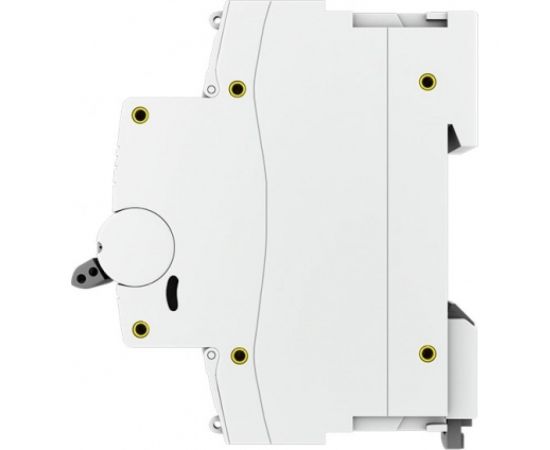 Автоматический выключатель EKF 2P 100А C 10kA ВА 47-100 PROxima SQmcb47100-2-100C-pro – изображение 3