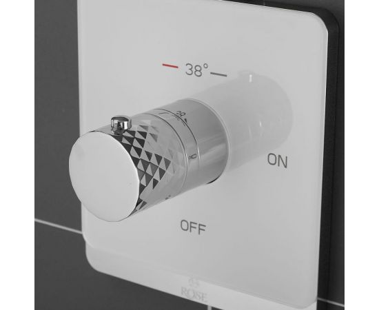 Смеситель с гигиеническим душем ROSE белый/хром ROSE R105C – изображение 6