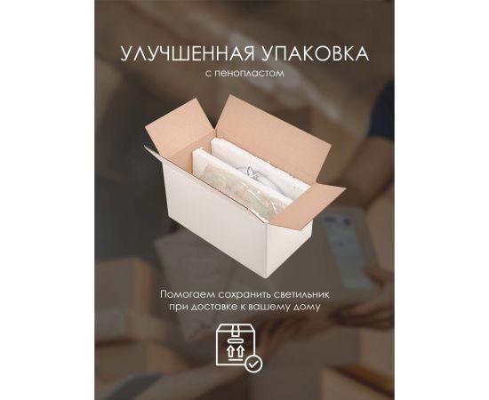 Настенный светильник Мелодия Света R1006-HALF-1W-300 WT 000059674 – изображение 8