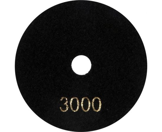 Круг шлифовальный алмазный гибкий для сухой шлифовки (100 мм; №3000) ТУНДРА 3594936 – изображение 3