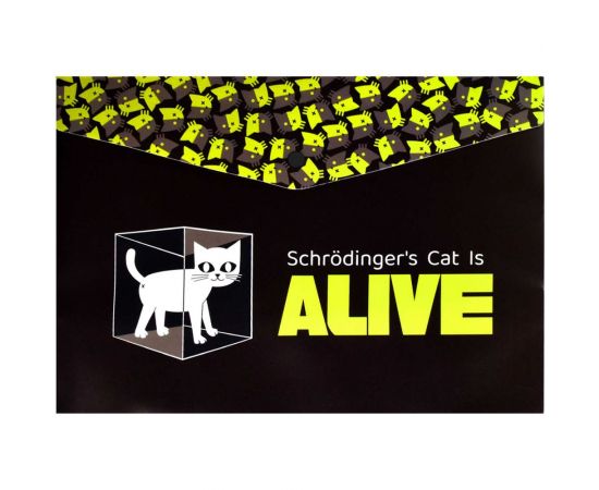 Папка для тетрадей Феникс + Научный Кот полипропилен, А4, 33x23.5 см, 1 отделение, кнопка, УФ-печать 62538 