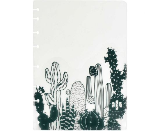 Папка-разделитель для записной книжки Феникс+ КАКТУСЫ полипропилен, 3 шт, в наборе, формат А5, 21x16 см, одно отделение, перфорация, УФ-печать 48312 