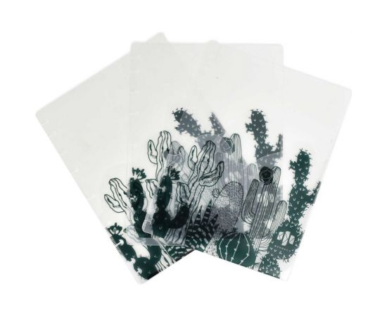 Папка-разделитель для записной книжки Феникс+ КАКТУСЫ полипропилен, 3 шт, в наборе, формат А5, 21x16 см, одно отделение, перфорация, УФ-печать 48312 – изображение 2