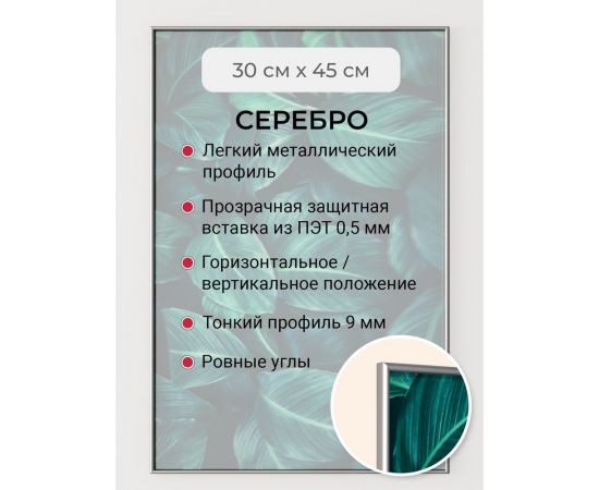 Фоторамка ООО Первое ателье Серебристая алюминиевая рамка 30x45 см Niel-2sm-30x45 – изображение 2