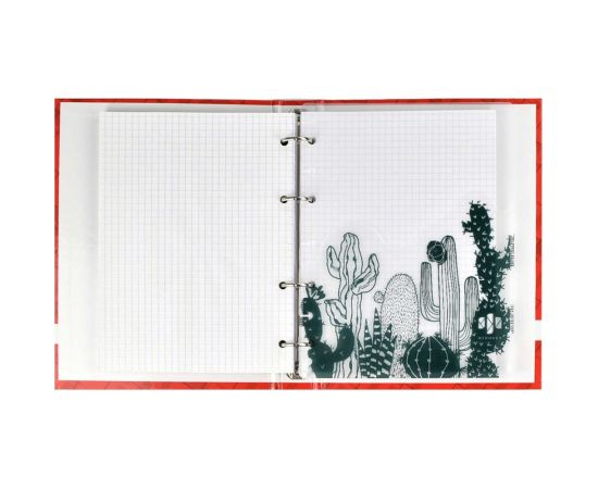 Папка-разделитель для записной книжки Феникс+ КАКТУСЫ полипропилен, 3 шт, в наборе, формат А5, 21x16 см, одно отделение, перфорация, УФ-печать 48312 – изображение 3