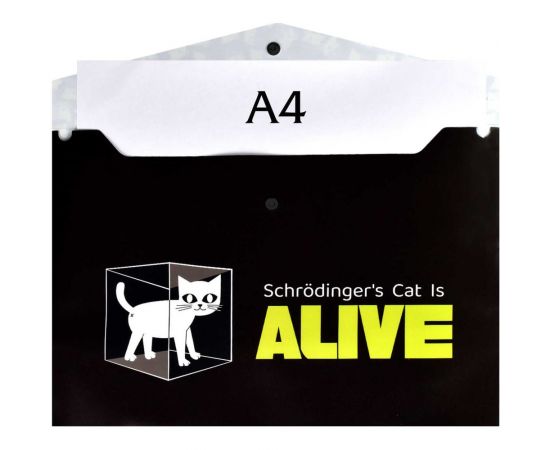 Папка для тетрадей Феникс + Научный Кот полипропилен, А4, 33x23.5 см, 1 отделение, кнопка, УФ-печать 62538 – изображение 3