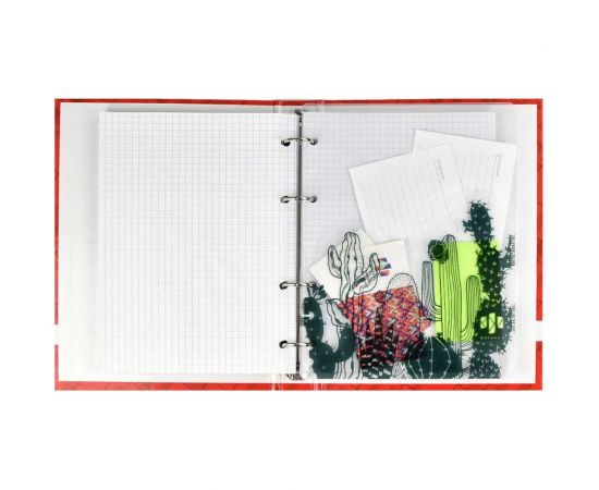 Папка-разделитель для записной книжки Феникс+ КАКТУСЫ полипропилен, 3 шт, в наборе, формат А5, 21x16 см, одно отделение, перфорация, УФ-печать 48312 – изображение 4