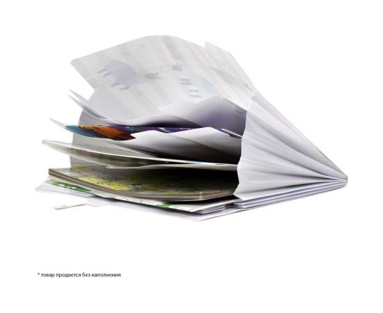 Папка для документов Феникс + АЛЬПАКИ полипропилен, А4, 32.5x22x1.7 см, 8 отделений, кнопка, дно с расширением, УФ-печать 48309 – изображение 4