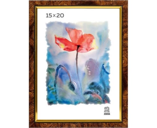 Пластиковая фоторамка Зебра PS_201_15x20 X7484651 