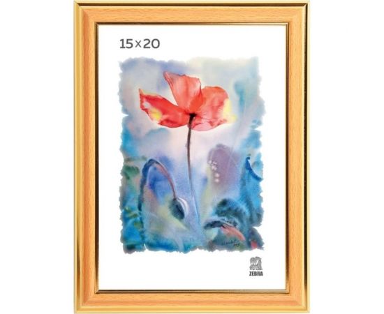 Пластиковая фоторамка Зебра PS_303_15x20 X7476897 