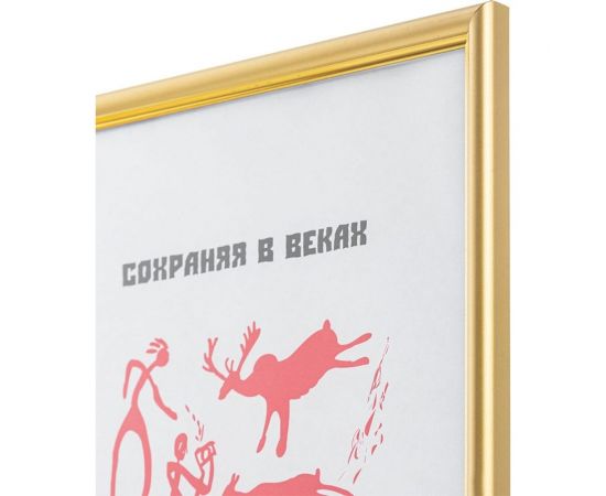 Пластиковая рамка ООО Комус 590 21x30 см A4 золото 1008942 – изображение 3