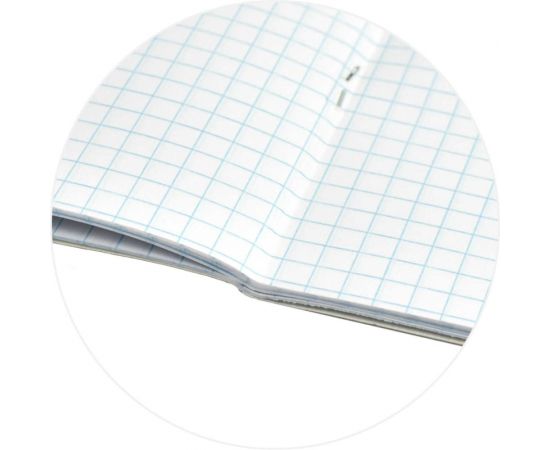 Блокнот Феникс + Игра А6, 40 л, блок - белый офсет 60 г/кв.м., клетка, мягкий переплет 1 скоба 63070 – изображение 5