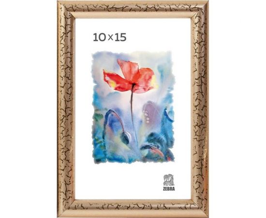 Пластиковая фоторамка Зебра PS_509_10x15, 10x15 см X7485536 