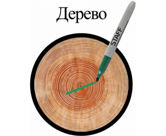 STAFF Маркер перманентный нестираемый EVERYDAY,ЗЕЛЕНЫЙ,эргономич.корпус, круглый након.2мм, 151236 – изображение 8