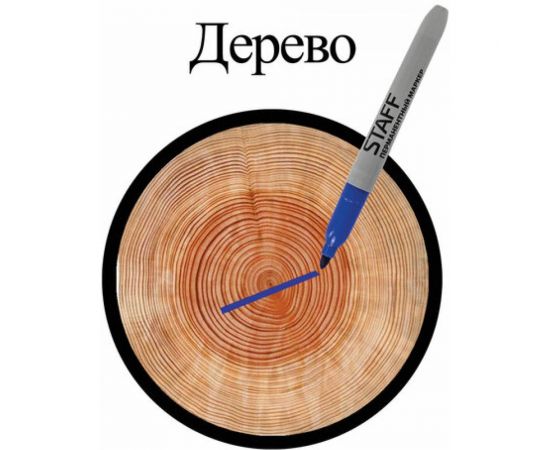 STAFF Маркер перманентный нестираемый EVERYDAY, СИНИЙ,эргономич.корпус,круглый након.2мм 151234 – изображение 10