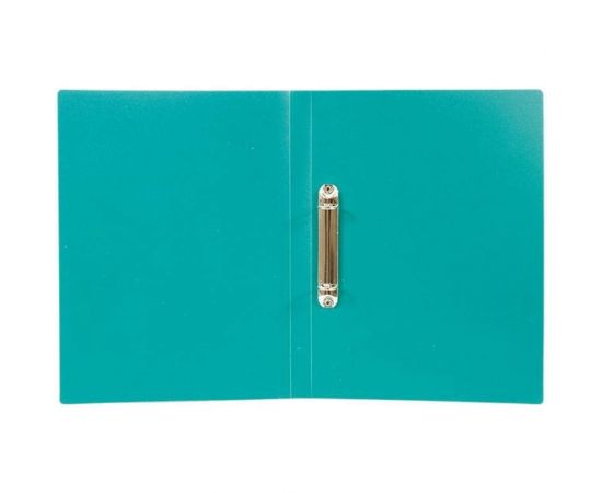 Папка LITE с кольцами А4 2 кольца 500 мкм 21 мм зеленый пластик NP55-21G 