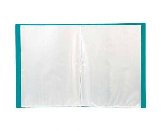 Папка LITE с файлами А4 30 файлов зеленый пластик 500 мкм NP0151-30ВG 