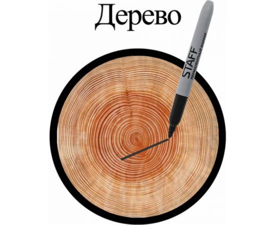 STAFF Маркер перманентный нестираемый EVERYDAY,ЧЕРНЫЙ,эргономич. корпус,круглый након. 2мм, 151233 – изображение 11