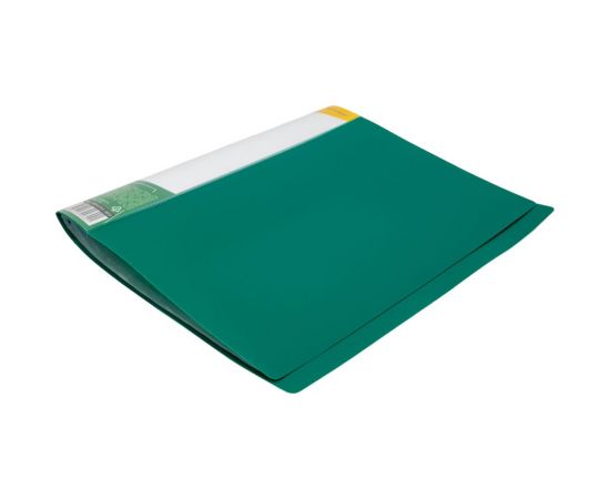 Папка INFORMAT с файлами, А4, 30 файлов, зеленая, пластик, 500 мкм, карман NP0151-30G – изображение 2