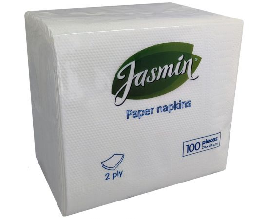 Бумажные салфетки Jasmin 2 слоя, 24x24 см, 100 шт. С100249 – изображение 2
