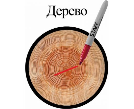 STAFF Маркер перманентный нестираемый EVERYDAY, КРАСНЫЙ,эргономич.корпус, круглый након.2мм, 151235 – изображение 8