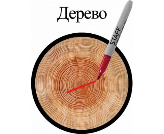 Перманентные нестираемые маркеры STAFF EVERYDAY набор 4 шт, ассорти, 2,5мм, 151237 – изображение 9