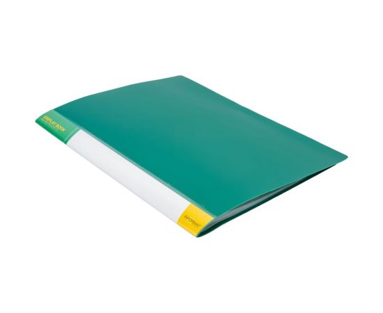 Папка INFORMAT с файлами, А4, 40 файлов, зеленая, пластик, 600 мкм, карман NP0155-40G 