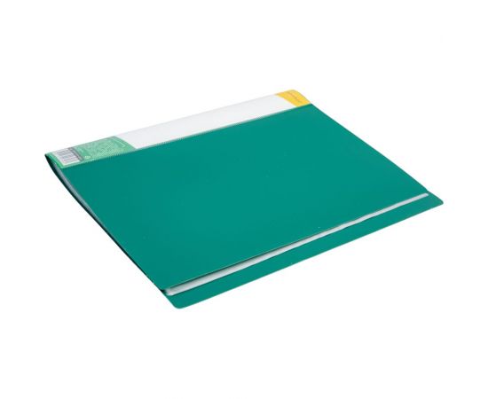 Папка INFORMAT с файлами, А4, 40 файлов, зеленая, пластик, 600 мкм, карман NP0155-40G – изображение 2