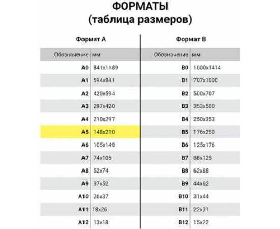 Телефонная книжка BRAUBERG Imperial А5, кожзам, 96л, вырубка, темно-коричневый 123869 – изображение 3