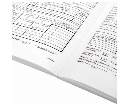 Бланк бух. 10 шт в упаковке BRAUBERG офсет Путевой лист груз. автом. б/талона А4 (198х275мм) СПАЙКА 100шт 130132 – изображение 7