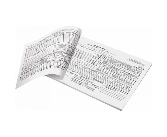 Бланк бух. 10 шт в упаковке BRAUBERG офсет Путевой лист груз. автом. б/талона А4 (198х275мм) СПАЙКА 100шт 130132 – изображение 8