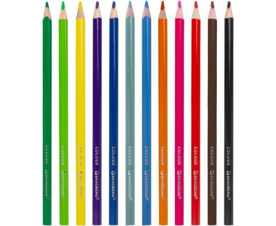 Карандаши цветные 12 шт в упаковке BRAUBERG PREMIUM 12 цветов трехгранные грифель мягкий 33 мм 181651 – изображение 3