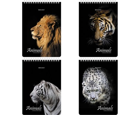 Блокнот BRAUBERG А5, 146x206 мм, 80 л., гребень, картон, жесткая подложка, клетка, Хищники 114385 – изображение 3