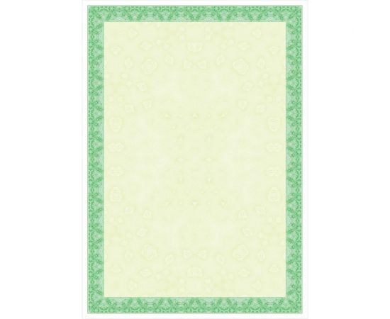 Сертификат-бумага BRAUBERG Зеленый интенсив для лазерной печати, А4, 25 листов, 115 г/м2, 122623 – изображение 3