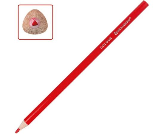 Карандаши цветные 12 шт в упаковке BRAUBERG PREMIUM 12 цветов трехгранные грифель мягкий 33 мм 181651 – изображение 4