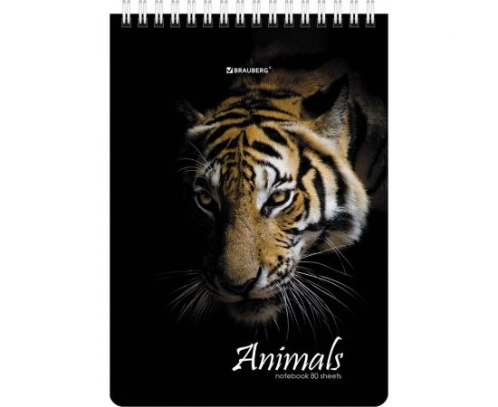 Блокнот BRAUBERG А5, 146x206 мм, 80 л., гребень, картон, жесткая подложка, клетка, Хищники 114385 – изображение 5